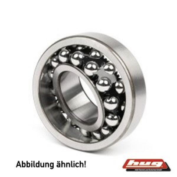 Pendelkugellager S1205 von ZEN 25x52x15 mm - bekommst Du bei HUG Technik ♡