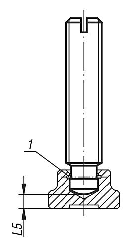 Gewindestift mit Druckzapfen M06 Edelstahl, DIN6332, L1=30 - K0390.061X30 - bei HUG Technik ✓
