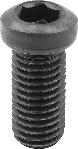 Exzenterschraube M12X16, Form:B, Vergütungsstahl - K1969.1216