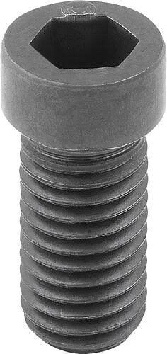 Exzenterschraube M04X10, Form:A, Vergütungsstahl - K1969.0410