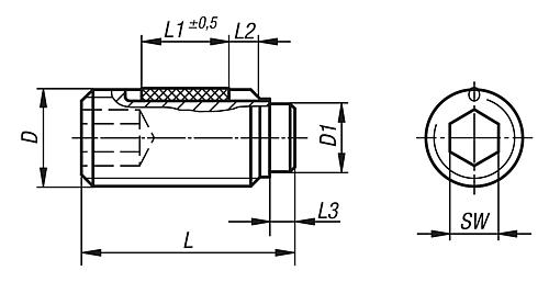 Zeichnung Druckschraube LONG-LOK M04X11 Stahl, Komp:Polyacetal - K0668.304X11 - bei HUG Technik ☆