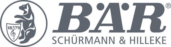 BÄR® Hartstahlnagel Linsenkopf 3,6x 40 verzinkt, Packung mit 100 Stück - bei HUG Technik ✭