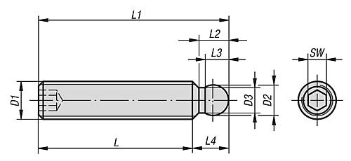 Gewindestift mit Kugeldruckzapfen M06 Stahl, L1=30 - K0391.06X30 - kommt direkt von HUG Technik 😊