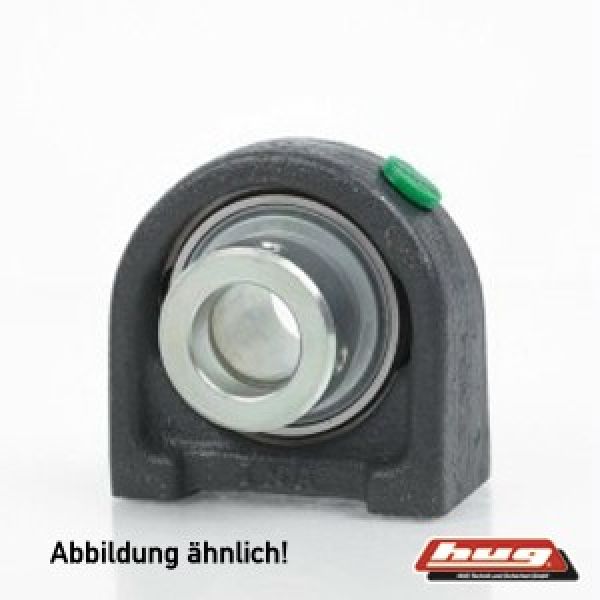 Stehlager-Gehäuseeinheit RSHE17 von INA 17x0x0 mm - kommt direkt von HUG Technik 😊