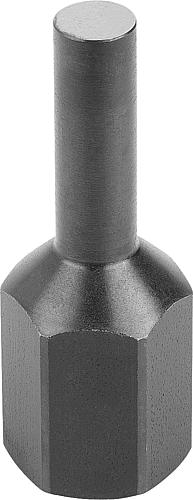 Produktbild Auflagebolzen Stiftform, M06 Innengewinde, H=20, D1=4, SW=10, Form: D, Vergütungsstahl vergütet - K1105.2060420 - gibt’s bei ☆ HUG Technik ✓