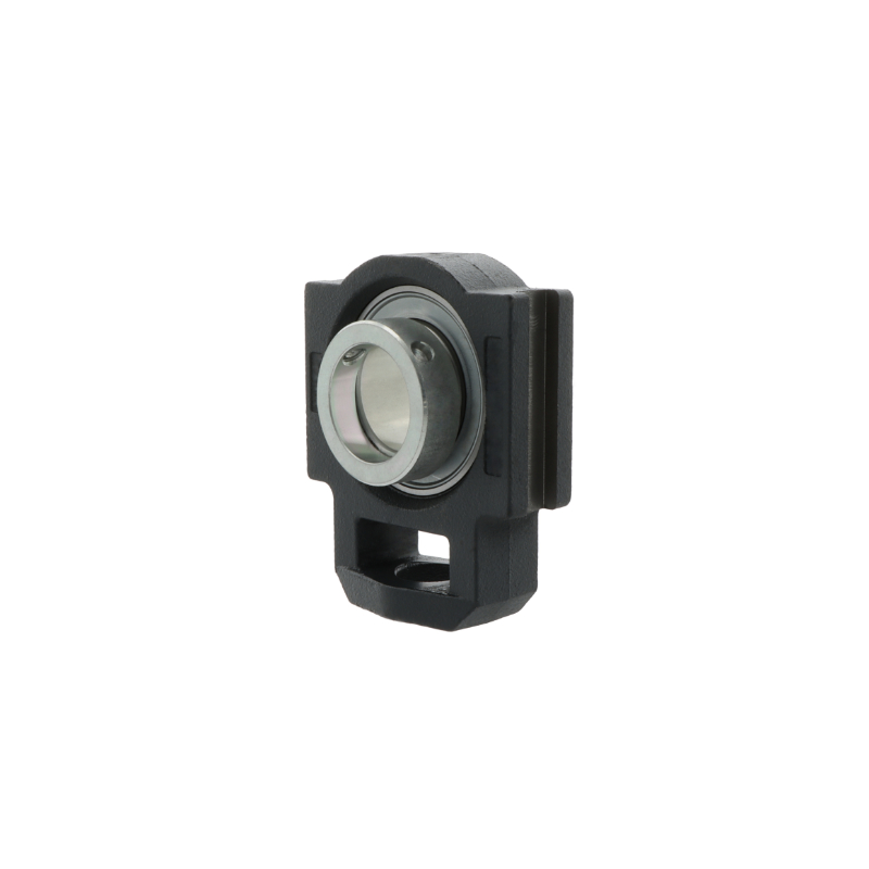 Spann-Gehäuseeinheit  PTUE20 -TV-FA125.5 von INA  20 mm - bei HUG Technik ✓ ✌