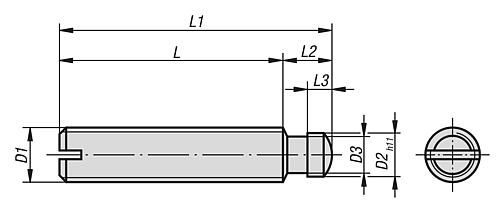Gewindestift mit Druckzapfen M06 Edelstahl, DIN6332, L1=30 - K0390.061X30 - bei HUG Technik ✓
