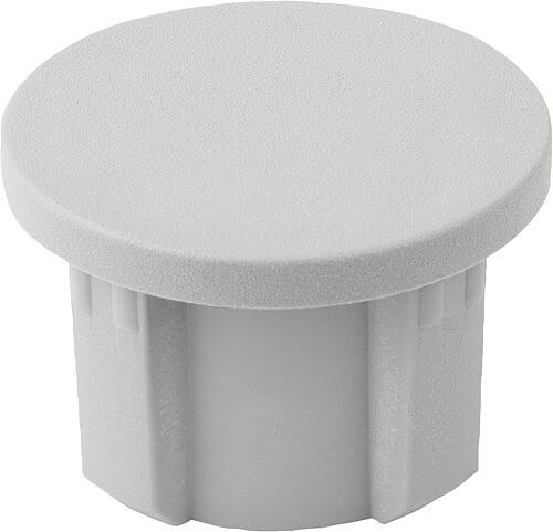 Produktbild Abdeckkappe, Typ I, P=Ø30, Form:A Kunststoff, grau - K2004.3012